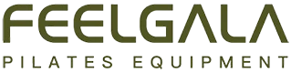 Shenzhen  Desen  Fitness  Tecnologia  Co.,  Ltd.